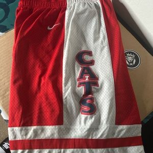 Vintage University of Arizona basketball shorts from 2000